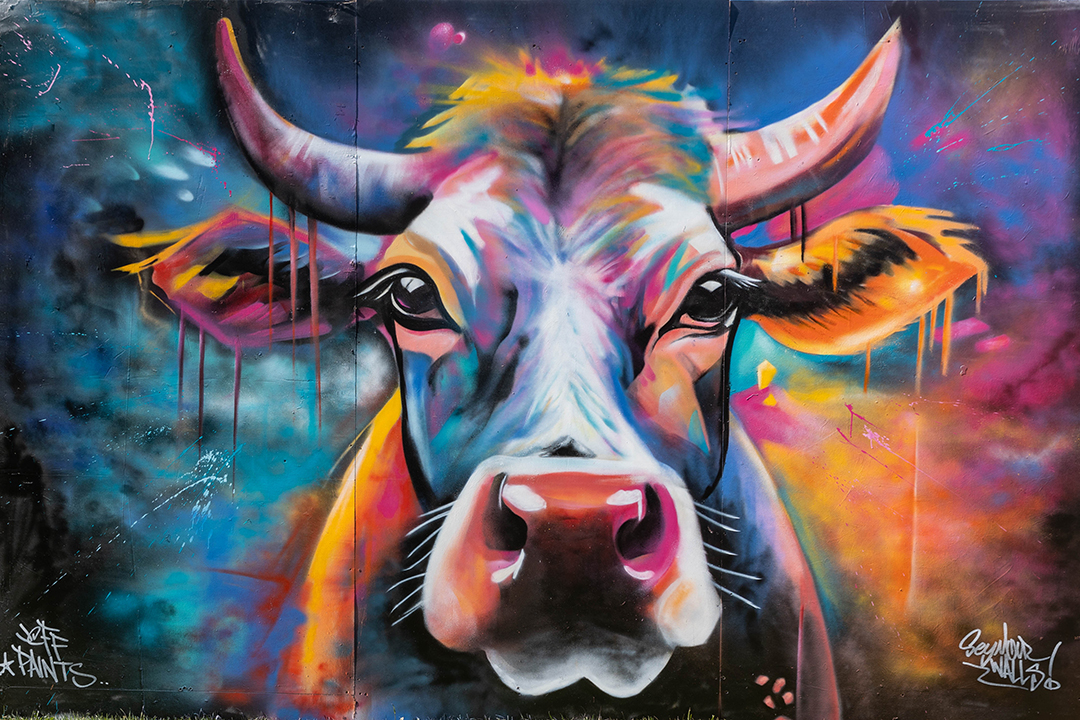 Colourful mural of a cow