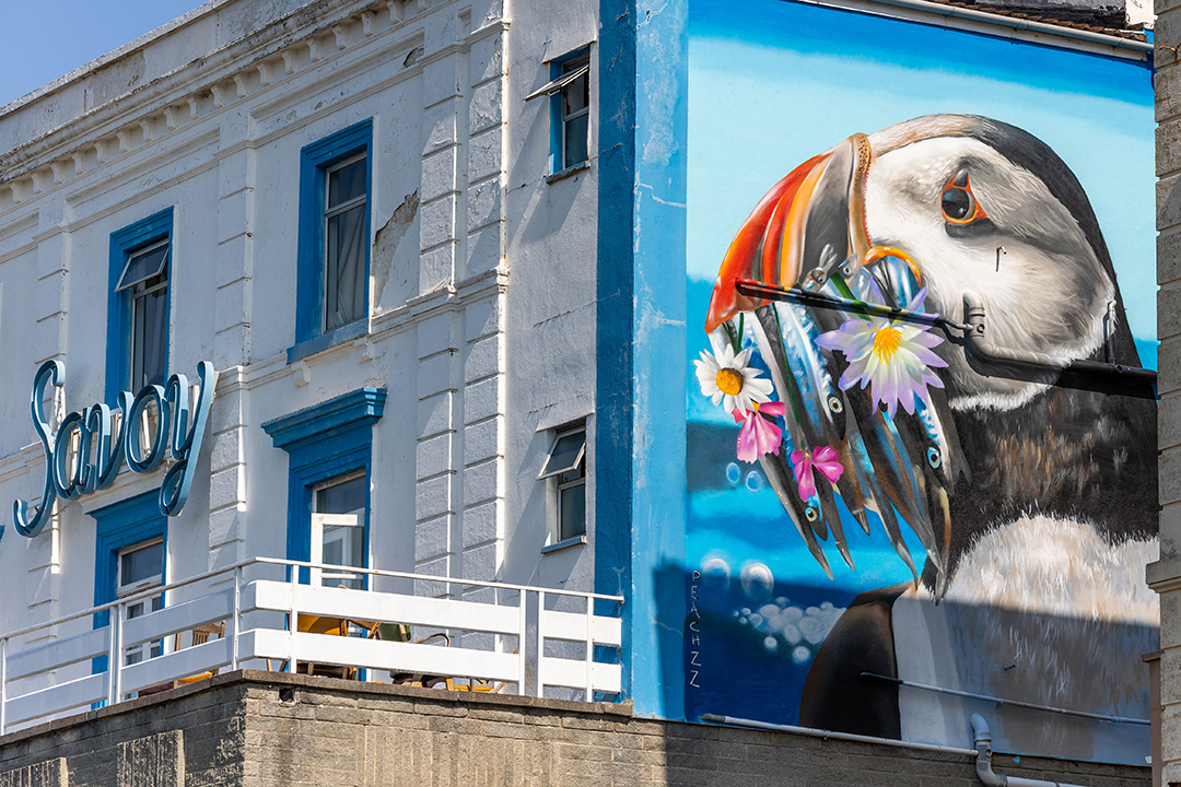 Mural of a seabird with its mouth full